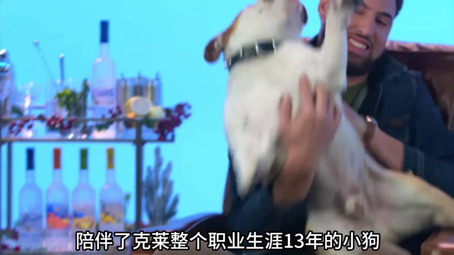 陪伴克萊13年的小狗去世了，不敢相信克萊得多么傷心